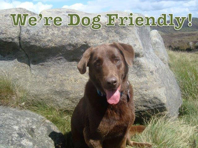 Dog Friendly