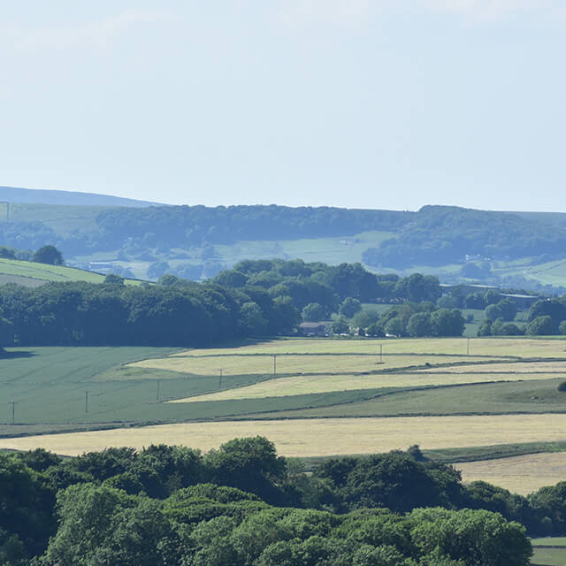 Caravan Site