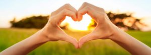 read our testimonials