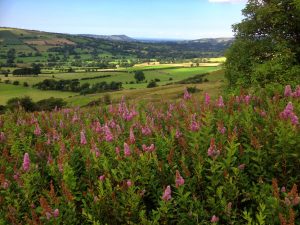 Wildfamilies Half term events and activities in the Peak District