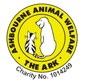 Jolly July Open Day & Fun Dog Show ashbourne animal welfare school events and activities