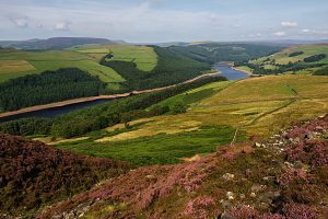 Derwent Valley the best walks in the peak district