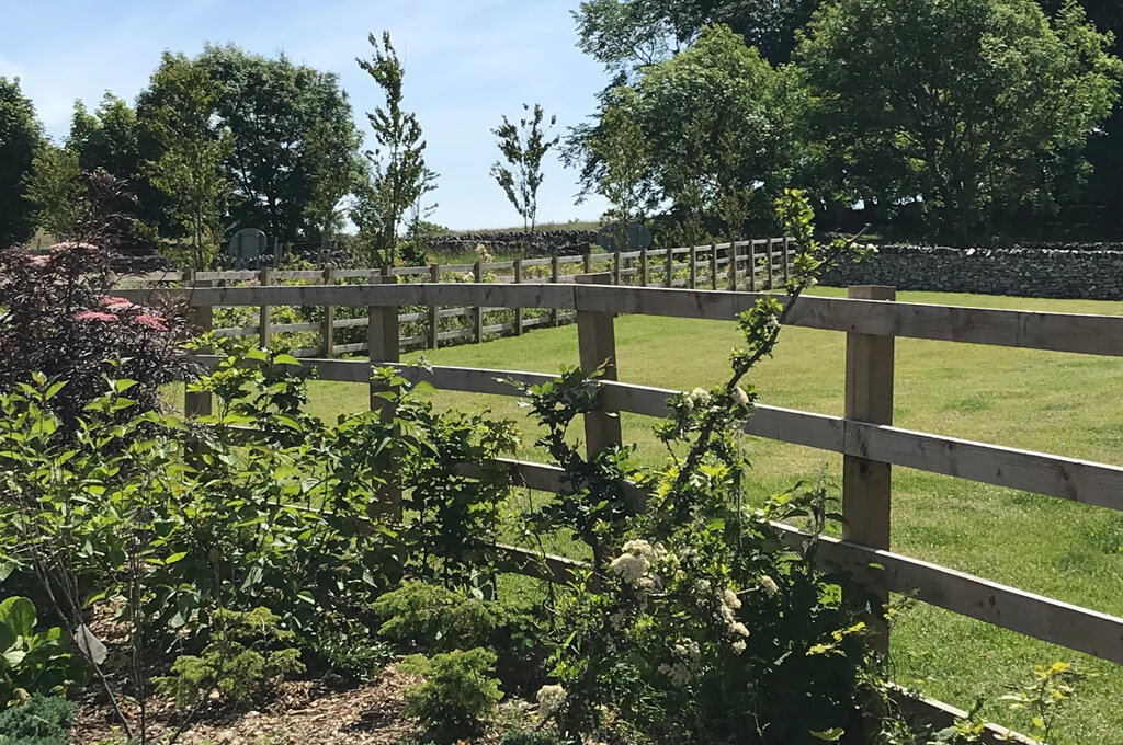 Farditch Garden