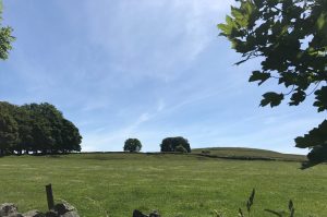 country fields