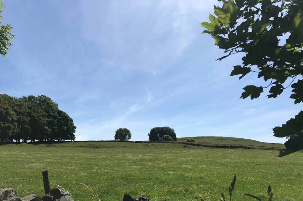 country fields