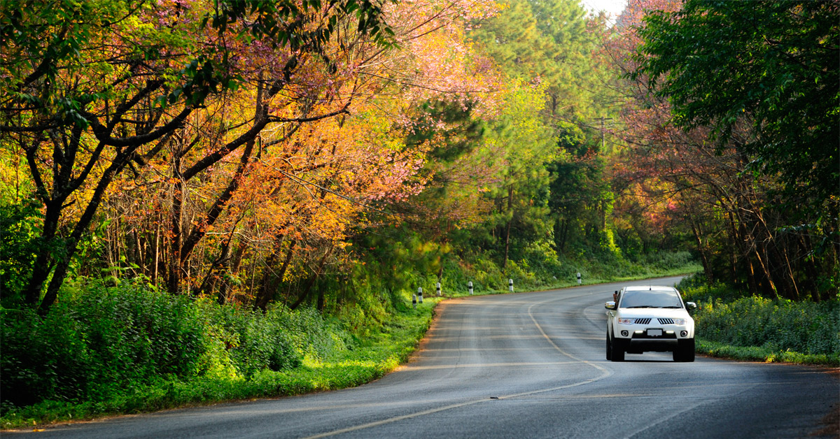 Best Scenic Drives in the Peak District