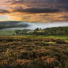pet friendly accommodation near stanton moor