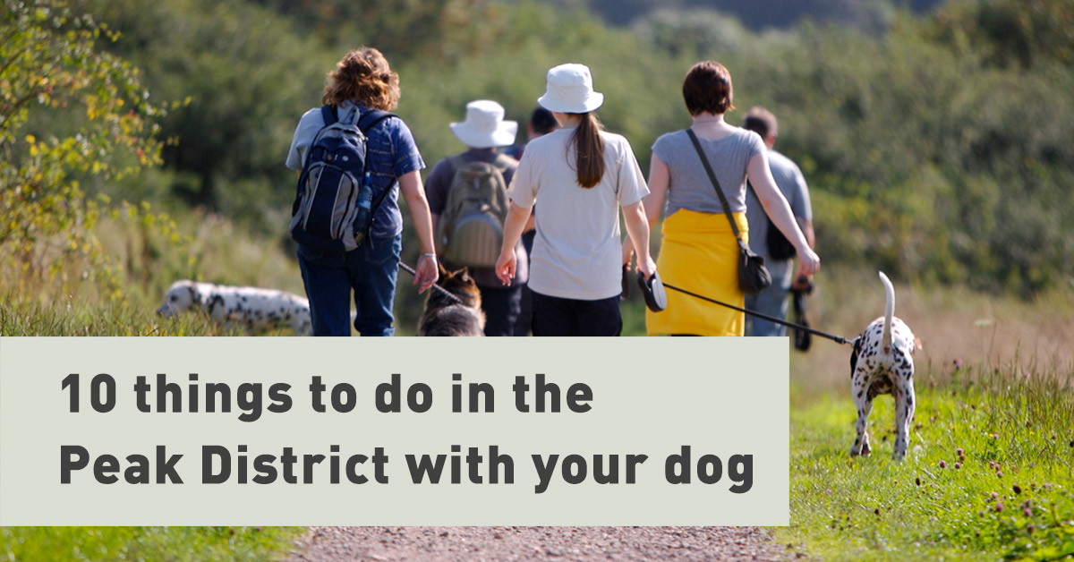 Dog friendly days out in the Peak District