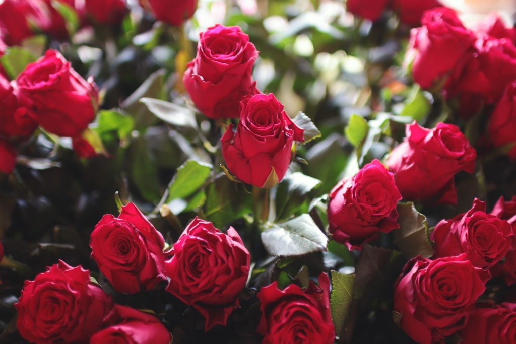 Mother’s Day, March 31st