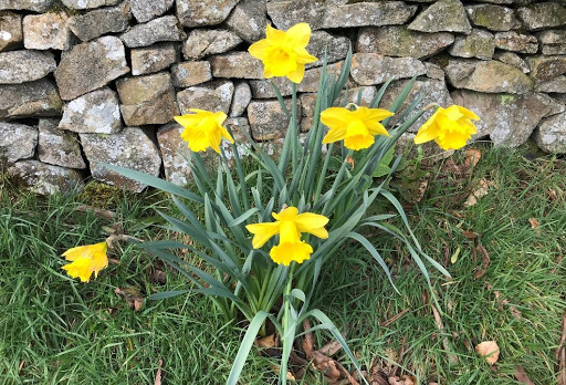 Spring has arrived at Peak District Holiday Breaks