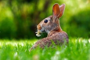 Easter in the Peak District