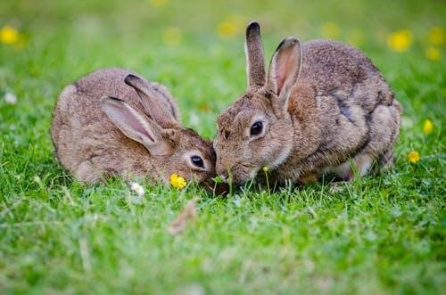 Easter in the Peak District