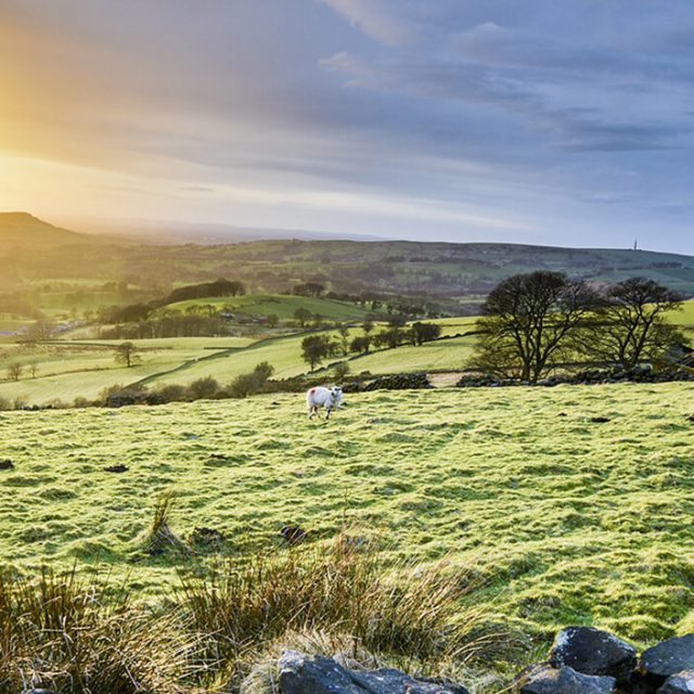 Scenic winter walks in the Peak District
